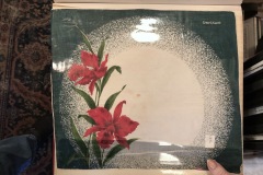 SwissAir Handkerchief