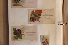 H K Safhirt, Cigars, Tobacco, Snuff, Pipes, Dover, NH, Trade Cards with Insects