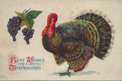 Happy Thanksgiving Postcard with Turkey and Grapes