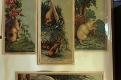 John F Alexander Dining Saloon, Wakefield Mass, Trade Cards, 4 cards with animals and flowers