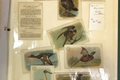 Trade Cards, Arm & Hammer, Church & Co. New York, Eight Different Bird Cards