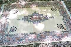 Oriental Rug, Pastels