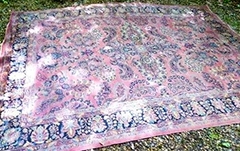 Oriental Rug
