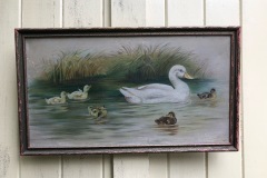 Mama Duck and 5 Ducklings