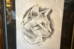 Tabby Cat Sketch by Tory Forres